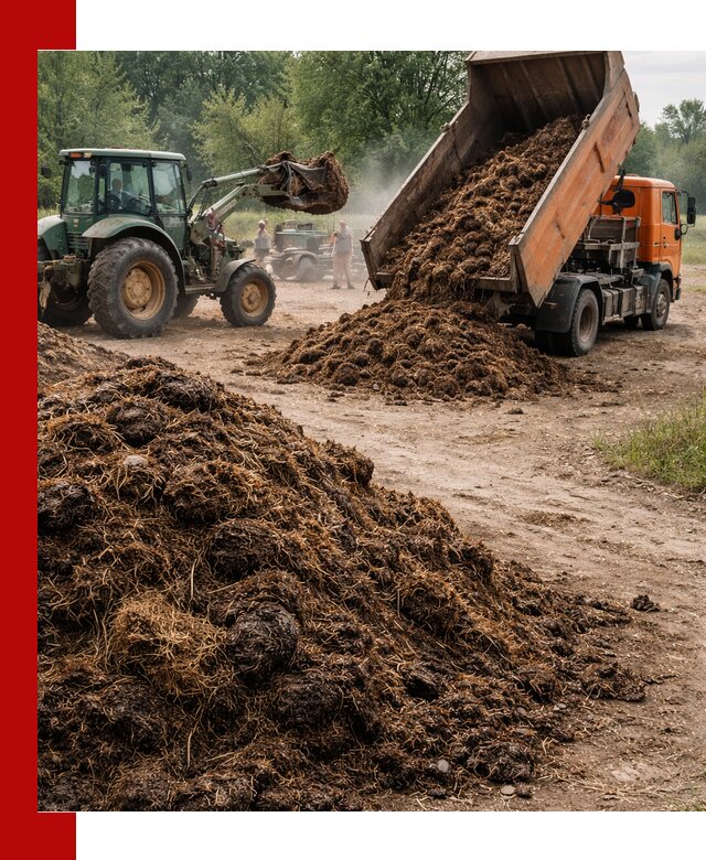 Доставка навоза самосвалами в Ангарске для сельхозпотребностей